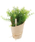 Artificial 17cm Dill Herb Plant